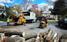 Best Lawn Irrigation Installation and Maintenance  in Yardville, NJ