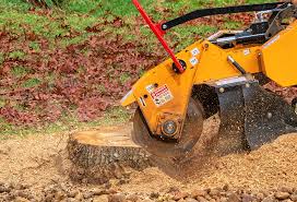 Best Utility Line Clearance  in Yardville, NJ