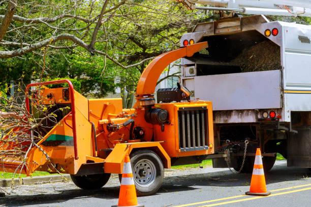  Yardville, NJ Tree Removal Pros